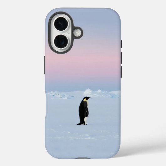 Coques Case-Mate iPhone Un pingouin debout sur la glace immaculée (Verso)