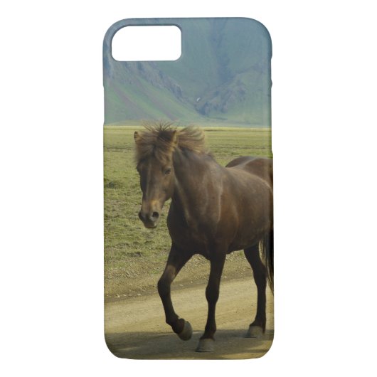 Coques Case-Mate iPhone Un ponton islandais Brown avec un Arrière - plan P (Dos)
