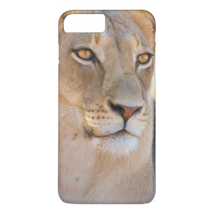 Coque Case-Mate Pour iPhone Un portrait d'une lionne regardant au loin