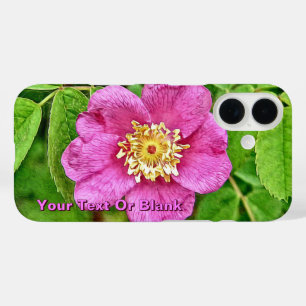 Coques iPhone 16 Un Rose sauvage