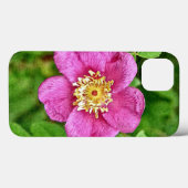 Coques Case-Mate iPhone Un Rose sauvage (Verso (horizontal))