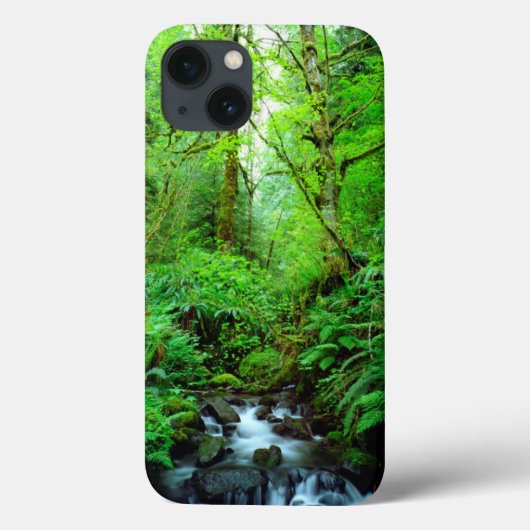 Coques Case-Mate iPhone Un ruisseau dans une forêt ancienne (Verso)