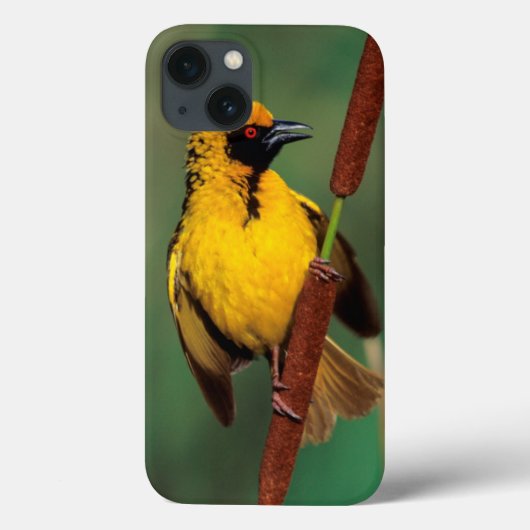 Coques Case-Mate iPhone Un tisserand de village appelant tandis qu'été (Verso)