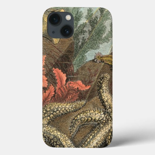 Coques Case-Mate iPhone Under the Sea (Verso)