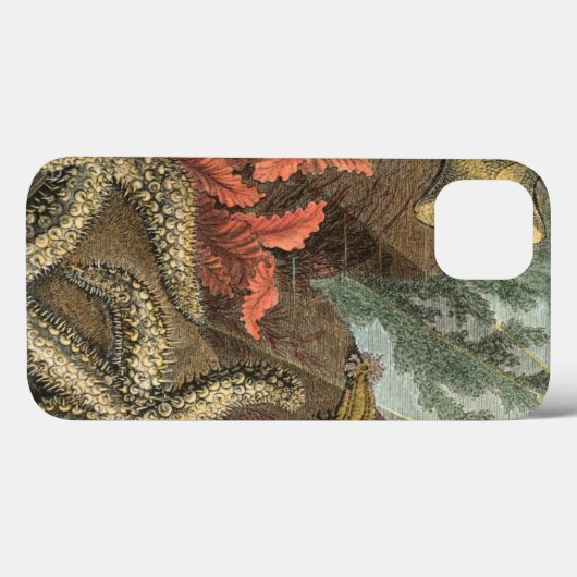 Coques Case-Mate iPhone Under the Sea (Verso (horizontal))