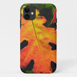 Etui iPhone Case-Mate Une feuille de chêne dans la forêt nationale de Si