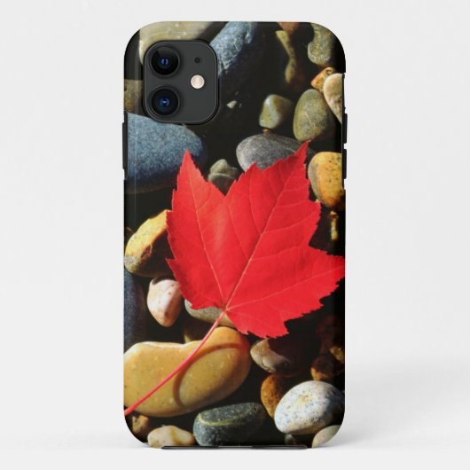 Coques Case-Mate iPhone Une feuille d'érable sur un fond rocheux (Dos)