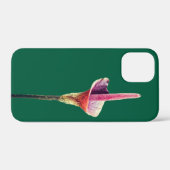 Coques Case-Mate iPhone Une fleur de lys-vodou (Verso (horizontal))