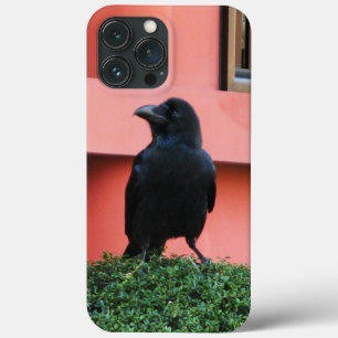 Case-Mate iPhone Case Une Jungle À Gros Billages Croque Une Perche Sur U