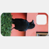 Coques Case-Mate iPhone Une Jungle À Gros Billages Croque Une Perche Sur U (Verso (horizontal))