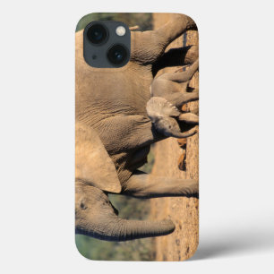 Case-Mate iPhone Case Une mère éléphant d'Afrique et son petit en mouvem