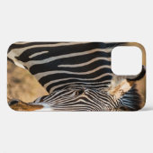 COQUES Case-Mate iPhone UNE ZEBRA CURIEUSE DANS LA RÉSERVE NATIONALE DE SA (Verso (horizontal))