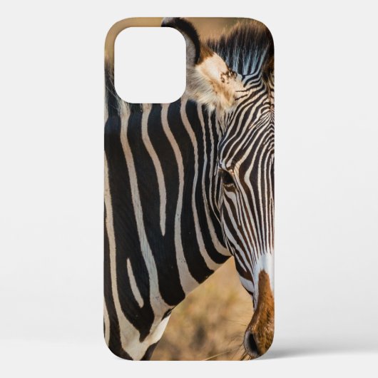 COQUES Case-Mate iPhone UNE ZEBRA CURIEUSE DANS LA RÉSERVE NATIONALE DE SA (Verso)