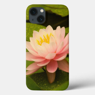 iPhone 13 Case United States, Maryland, Westminster, Union 2