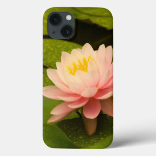 Etui iPhone 13 United States, Maryland, Westminster, Union 2