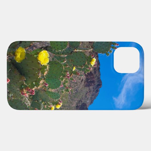 Coques Case-Mate iPhone USA, Arizona. Cactus (Verso (horizontal))
