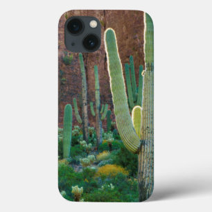 Case-Mate iPhone Case USA, Arizona. Le Champ De Cactus Du Saguaro Par Un