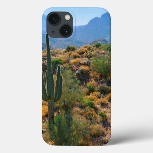 Coques Case-Mate iPhone USA, Arizona. Vue du désert (Verso)