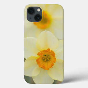 Etui iPhone 13 USA, Arlington, Virginia, closeup of white