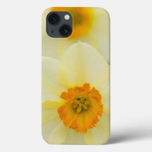 Etui iPhone Case-Mate USA, Arlington, Virginia, closeup of white