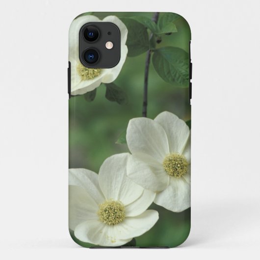 Coques Case-Mate iPhone USA, Californie, Yosemite NP, le long de Merced (Dos)