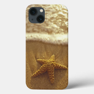 Etui iPhone 13 USA, Hawaii, Maui, Maui, Kihei, Starfish