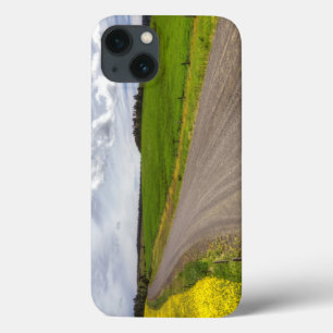 Etui iPhone 13 USA, Idaho, Idaho County, Canola Field