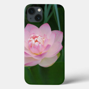 iPhone 13 Case USA, Kansas, Pink Water Lilly