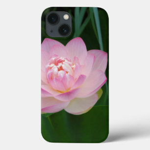 Etui iPhone Case-Mate USA, Kansas, Pink Water Lilly