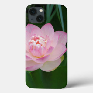 Coques Pour iPhone USA, Kansas, Pink Water Lilly