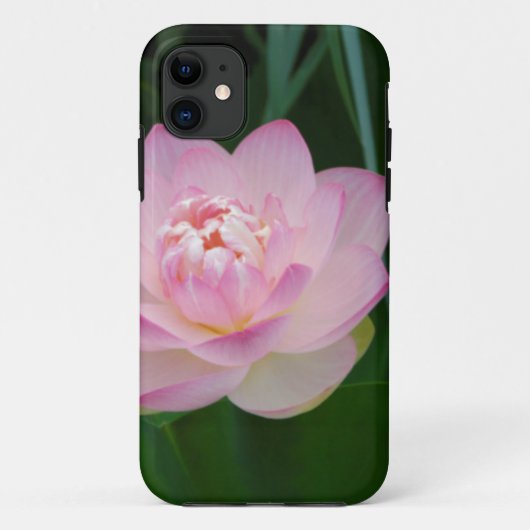 Coques Case-Mate iPhone USA, Kansas, Pink Water Lilly (Dos)