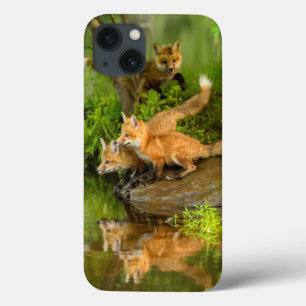 iPhone 13 Case USA, Minnesota, Sandstone, Minnesota Wildlife
