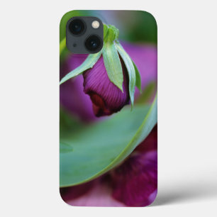 iPhone 13 Case USA, Pennsylvania. Flower bud opening in spring