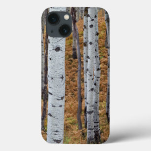 Coques Pour iPhone USA, Utah, Uinta-Wasatch-Cache National Forest 2