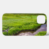 Coques Case-Mate iPhone USA, Virginie-Occidentale, Davis.Paysage 2 (Verso (horizontal))