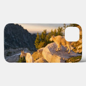 Coques Case-Mate iPhone USA, Washington, Cascade Range 4 (Verso (horizontal))