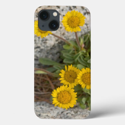 Coques Case-Mate iPhone USA, Washington, Cascade Range 5 (Verso)