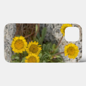 Coques Case-Mate iPhone USA, Washington, Cascade Range 5 (Verso (horizontal))