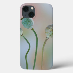 Case-Mate iPhone Case USA, Washington. Close-up de Colorful Poppy Seed