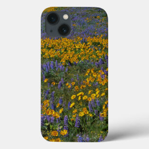 iPhone 13 Case USA, Washington, Columbia River Gorge National