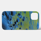 Coques Case-Mate iPhone USA, Washington, Olympic National Park 4 (Verso (horizontal))