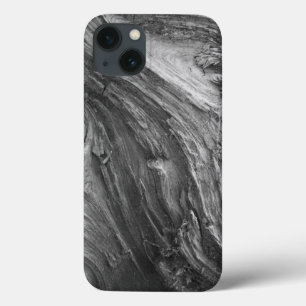 iPhone 13 Coque USA, Washington State. Douglass Fir