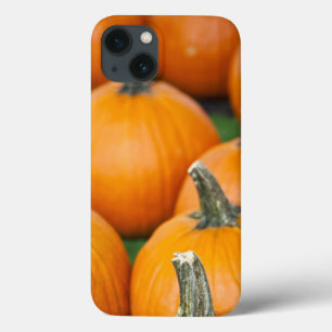 Coques Pour iPhone USA, West Virginia, Charleston. Capitol 2