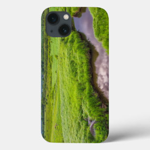 Etui iPhone 13 USA, West Virginia, Davis. Landscape 2