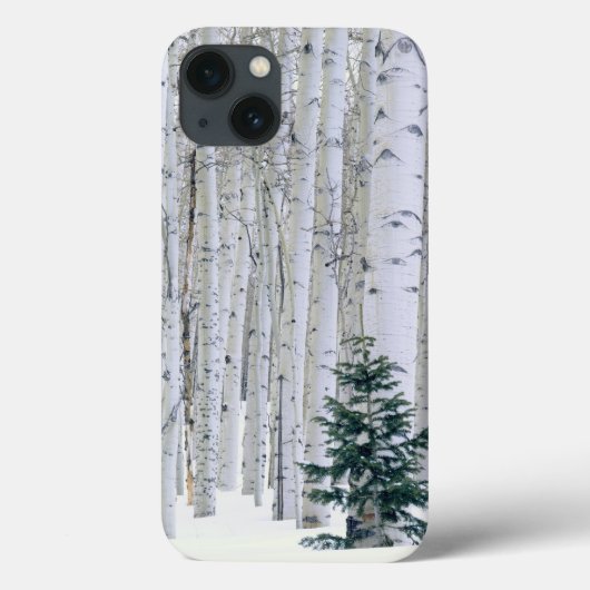 Coques Case-Mate iPhone UTAH. ÉTATS-UNIS. Tremble (Populus tremuloides) & (Verso)
