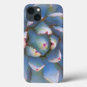 Coques Pour iPhone Utah, forêt nationale de Dixie. Gros plan sur yucc