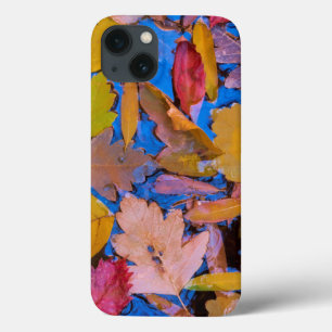 Etui iPhone Case-Mate Utah, Glen Canyon National Recreation Area 2
