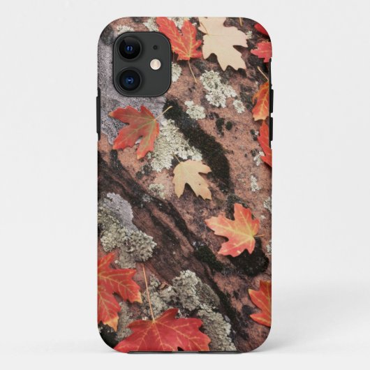 Coques Case-Mate iPhone Utah, Parc national de Sion, Motifs de l'automne (Dos)
