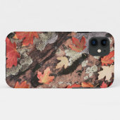 Coques Case-Mate iPhone Utah, Parc national de Sion, Motifs de l'automne (Dos (Horizontal))