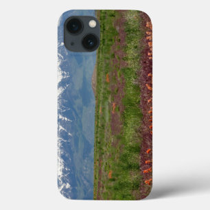 Coques Pour iPhone Utah, USA. Mt. Timpanogos Rises Above